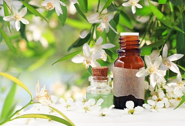 تصویر 5 از قیمت اسانس طبیعی بهار نارنج + خرید باور نکردنی
